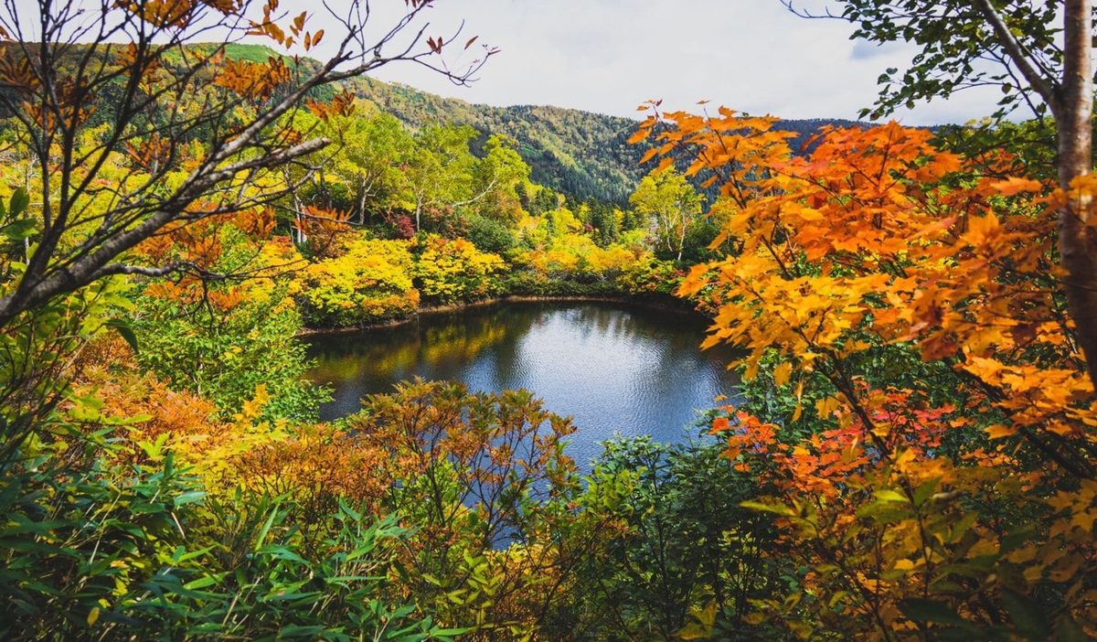 層雲峽紅葉
